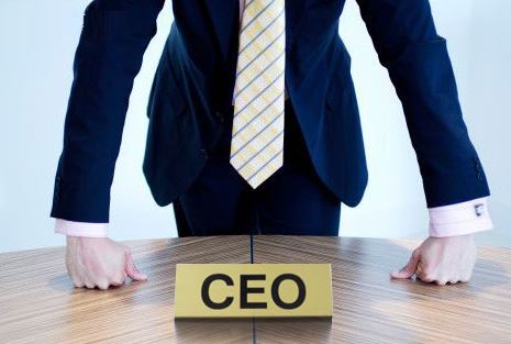 CEO Infographic