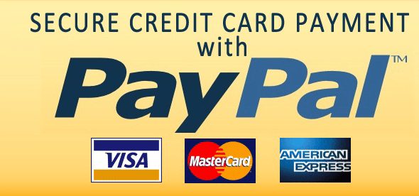 Use PayPal Securely