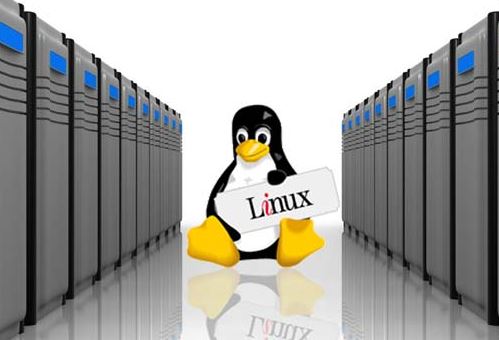 Linux Virtual Server Hosting
