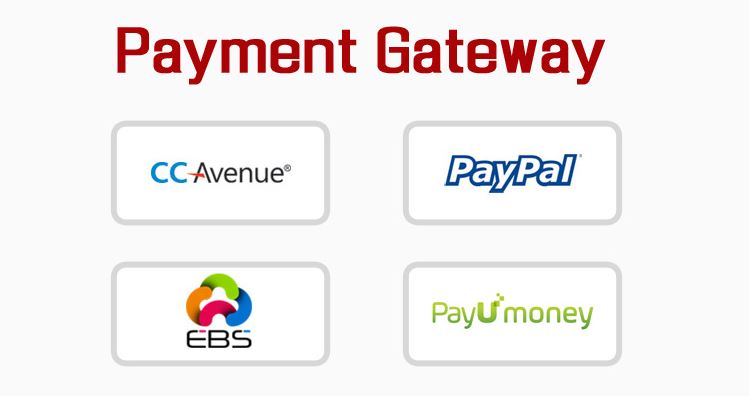 Best Payment Gateway for Business in 2017