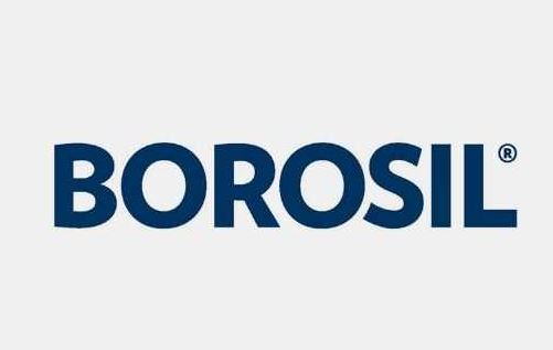 Borosil Glass share price