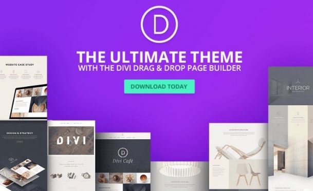 Divi - WordPress Theme & Visual Page Builder