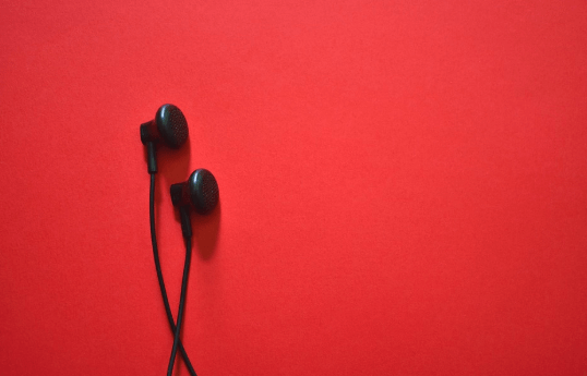 Headphones or earphones
