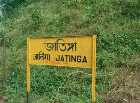 Jatinga - Village in Assam
