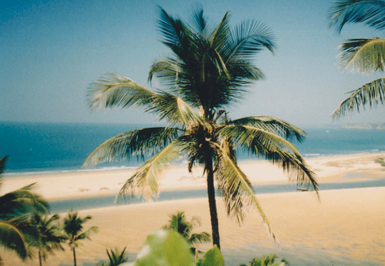 Querim Beach, North Goa