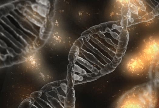 Next Generation Sequencing Market
