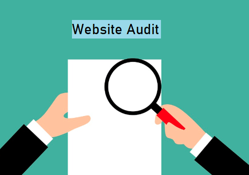 Importance of Website Auditing
