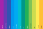 Website Color Scheme
