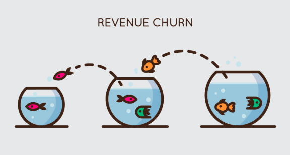 Revenue churn