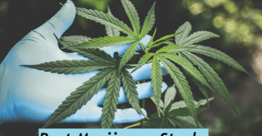 Marijuana Stocks - Top Cannabis Stocks