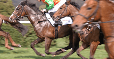Horse racing - Sport