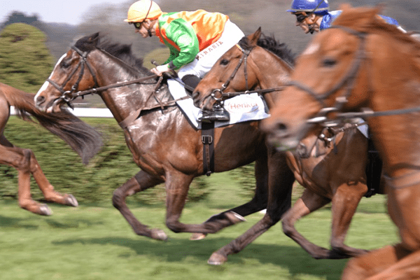 Horse racing - Sport