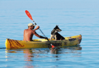 Guide to Kayaking With Your Dog