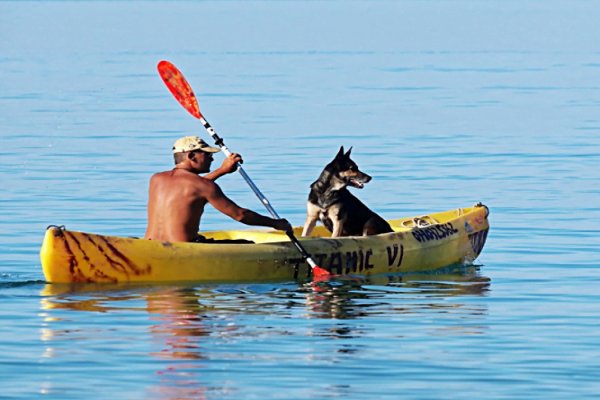 Guide to Kayaking With Your Dog