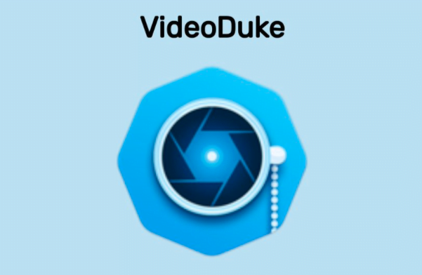 VideoDuke review