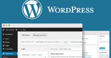 Make A WordPress Website