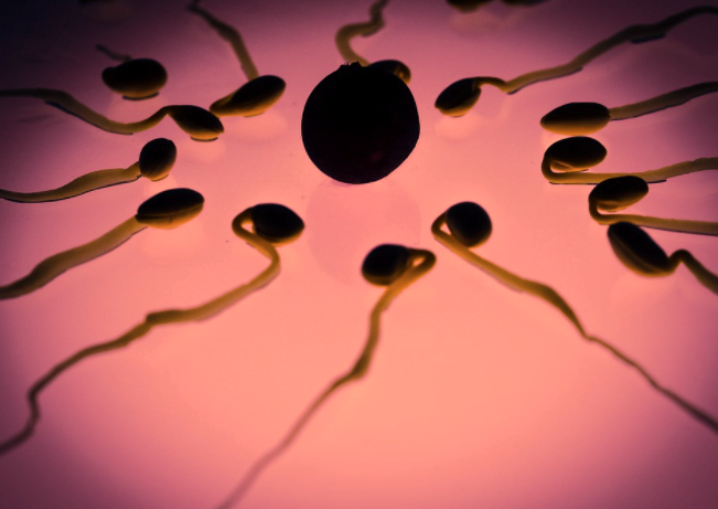 How to Increase Male Fertility Naturally