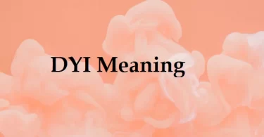What does DYI stand for?