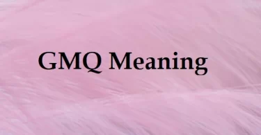 What does GMQ stand for?
