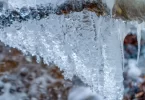 How Long Does It Take For Water to Freeze