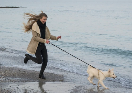 Guide to Running With Your Dog