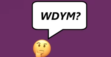 What Does WDYM Mean?