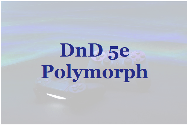 DnD 5e Polymorph Explained