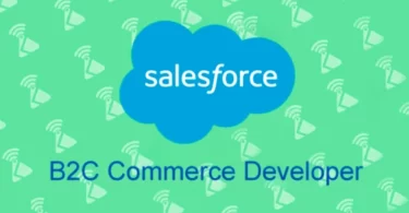 Salesforce B2C Commerce Developer