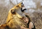 Lion Protecting Me in Dream