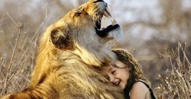 Lion Protecting Me in Dream