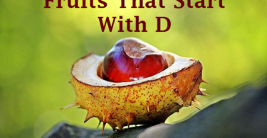 Fruits That Start With D