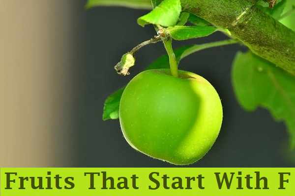 Fruits that Start With F