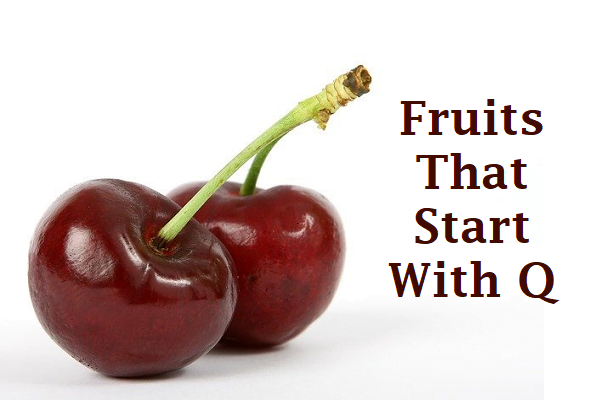 Top 10+ Fruit that starts with q 6 Fruits That Start With Q