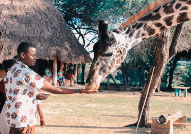 From India to Kenya for Safari