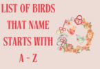 Birds that start with A-Z