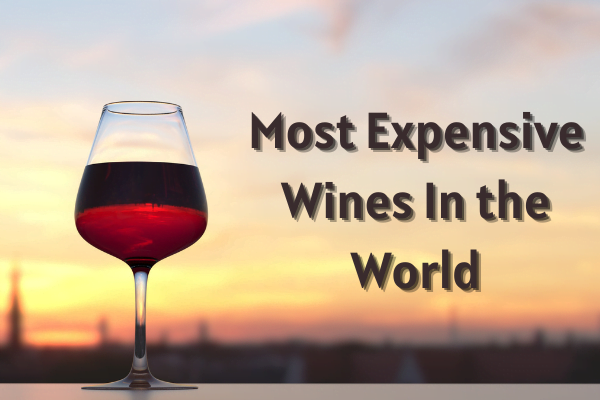 Most Expensive Wines In the World