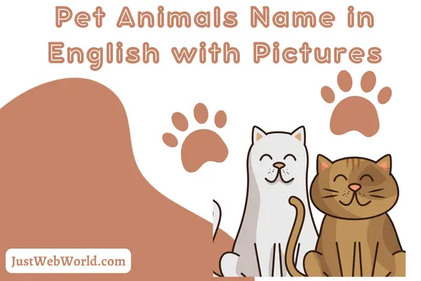 20+ Pet Animals Name in English with Pictures - Just Web World