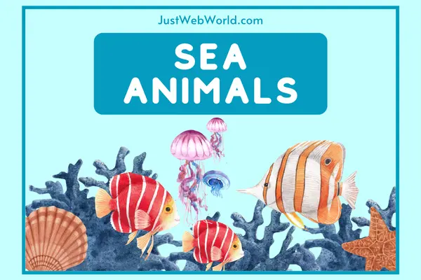 20+ Water, Sea and Ocean Animals - Just Web World