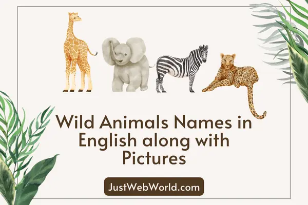 20+ Wild Animals Name in English with Pictures - Just Web World