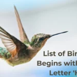 Birds That Start With H
